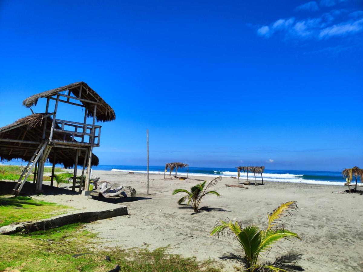 Hotel Punta Azul 페데르날레스 외부 사진