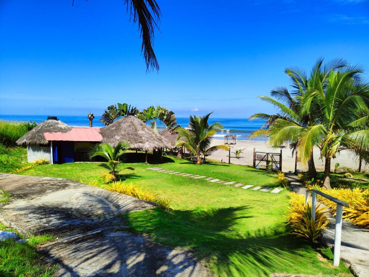Hotel Punta Azul 페데르날레스 외부 사진